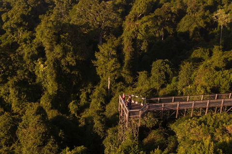 Rainforest & Waterfall Experience - Accommodation Melbourne 5
