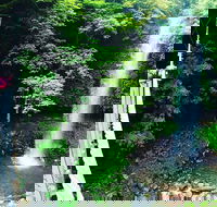 Rainforest  Waterfall Experience - Accommodation Melbourne