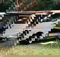 Shark Bait - Accommodation Melbourne