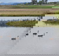 Beardy Waters Dam and Woodlands - Accommodation Melbourne