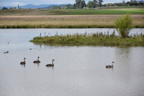 Beardy Waters Dam And Woodlands - Accommodation Melbourne 0