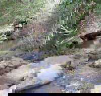 Bomaderry Creek Regional Park - Accommodation Melbourne