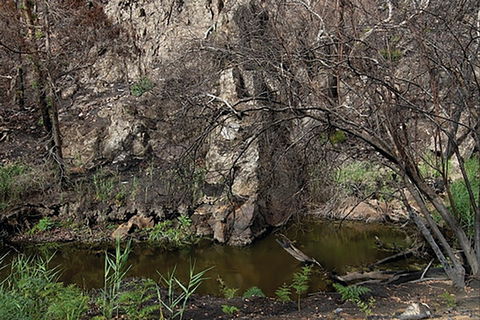 Brisbane Ranges National Park - Accommodation Melbourne 0