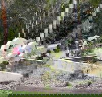 Maroochy Regional Bushland Botanic Garden - Accommodation Melbourne
