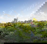 Mclaren Vale - Accommodation Melbourne