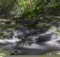 Protesters Falls Walking Track - Accommodation Melbourne