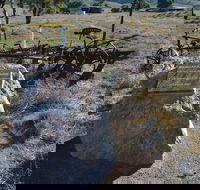 Wangaraleednie Monument  Ruins - Accommodation Melbourne