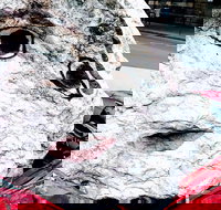 Discover Sydney - The Rocks - Accommodation Melbourne