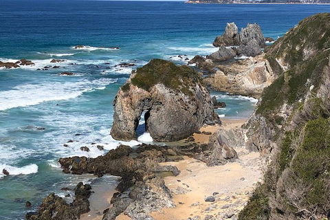 Narooma And Tilba Valley Private Tour - Accommodation Melbourne 8