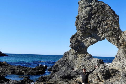 Narooma And Tilba Valley Private Tour - Accommodation Melbourne 4