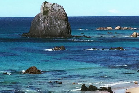 Narooma And Tilba Valley Private Tour - Accommodation Melbourne 9