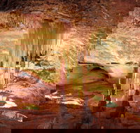 Jenolan Caves Ribbon Cave Tour - Accommodation Melbourne