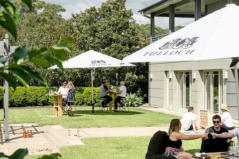 Tulloch Wines- Mystery Wine Tasting Experience With Local Cheese And Charcuterie - Accommodation Melbourne 5