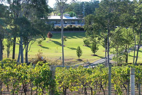 Tulloch Wines- Mystery Wine Tasting Experience With Local Cheese And Charcuterie - Accommodation Melbourne 9
