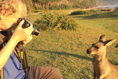 Highlights Of The Eurobodalla (half Day Private Tour) - Accommodation Melbourne 2