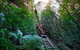 TooRoo Blue Mountains Private Tour - thumb 3