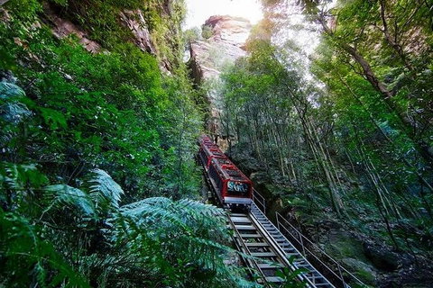 TooRoo Blue Mountains Private Tour - Accommodation Melbourne 3