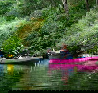 Byron Bay Fish  Feast - Accommodation Melbourne