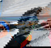 Discover Yachting - Accommodation Melbourne