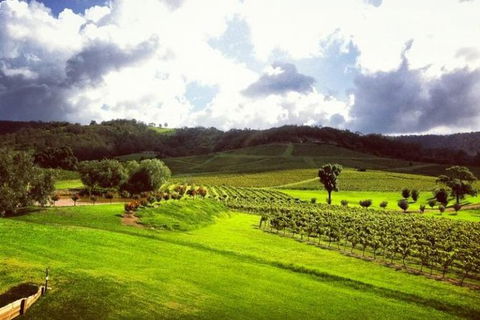 Ivanhoe Wines: Trip Advisor Wine Masterclass With Cheese Plate - Accommodation Melbourne 3
