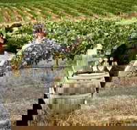 VIP Soil-To-Cellar Experience - Accommodation Melbourne