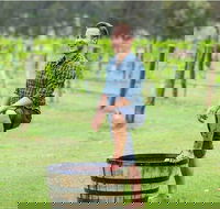 Hunter Valley Grape Stomping - Accommodation Melbourne