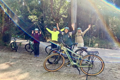 Guided E Bike Tour - Unicorn Falls & National Park - Accommodation Melbourne 3