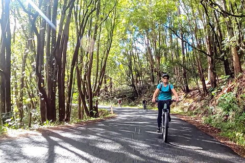 Guided E Bike Tour - Unicorn Falls & National Park - Accommodation Melbourne 16