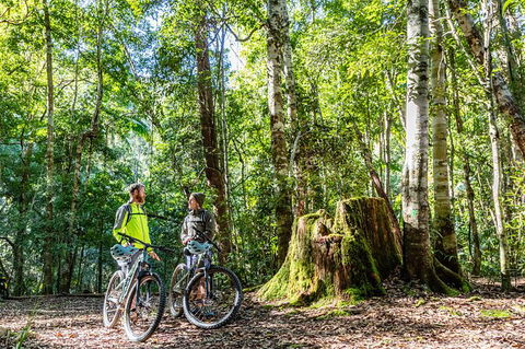 Guided E Bike Tour - Unicorn Falls & National Park - Accommodation Melbourne 14