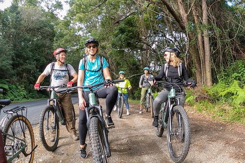 Guided E Bike Tour - Unicorn Falls & National Park - Accommodation Melbourne 11