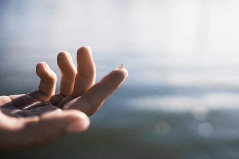 Oyster Farm Tour- Hawkesbury River (1hr North Of Sydney). - Accommodation Melbourne 2