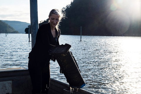Oyster Farm Tour- Hawkesbury River (1hr North Of Sydney). - Accommodation Melbourne 1