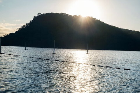 Oyster Farm Tour- Hawkesbury River (1hr North Of Sydney). - Accommodation Melbourne 4
