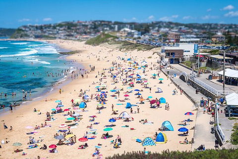 Newcastle Scenic Explorer - 2 Hour Tour By Minibus - Accommodation Melbourne 6