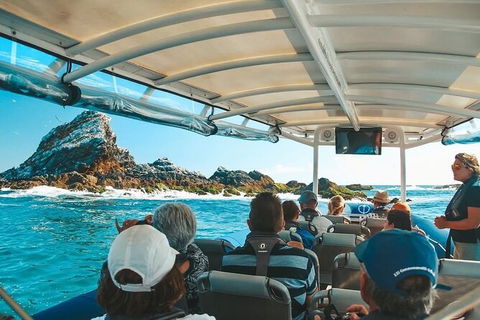 Julian Rocks Byron Bay Cruise - Accommodation Melbourne 13