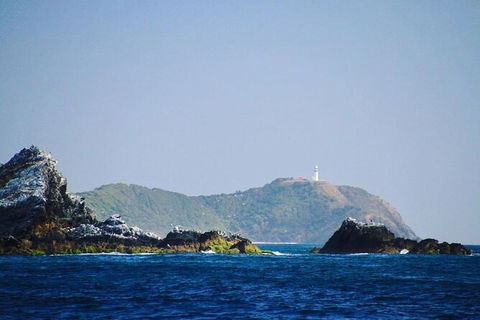 Julian Rocks Byron Bay Cruise - Accommodation Melbourne 2