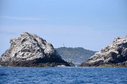 Julian Rocks Byron Bay Cruise - Accommodation Melbourne 14