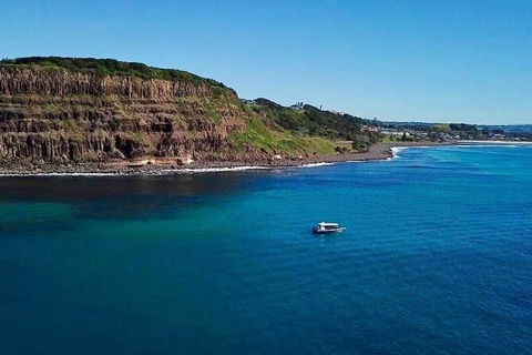 Julian Rocks Byron Bay Cruise - Accommodation Melbourne 6