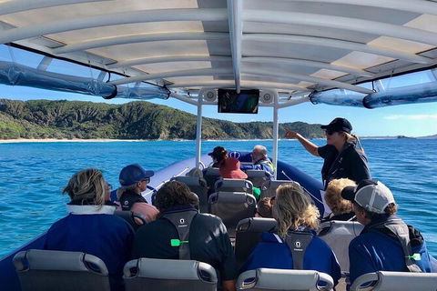 Julian Rocks Byron Bay Cruise - Accommodation Melbourne 11