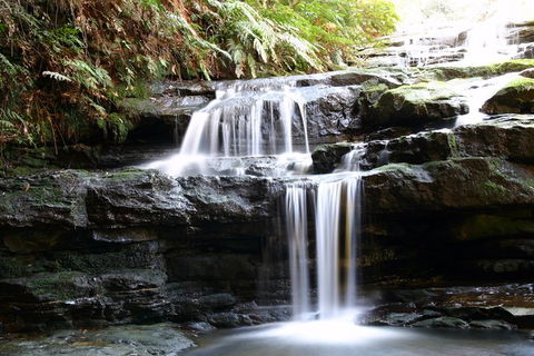 Private 10-hour Tour To Blue Mountains From Sydney - Hotel Pick Up & Drop Off - Accommodation Melbourne 6