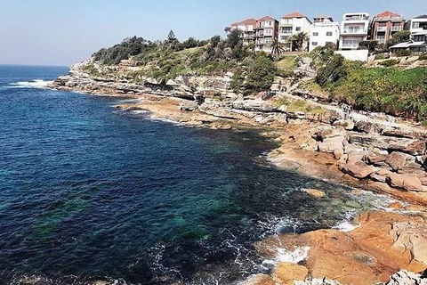 Sydney With Bondi And Beaches Essentials Private Day Tour - Accommodation Melbourne 1
