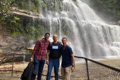 Blue Mountains Highlights & Wildlife Park - Accommodation Melbourne 4