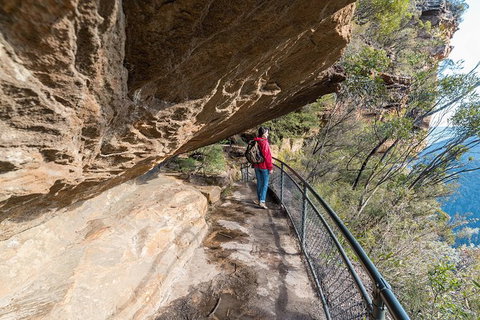 Blue Mountains Highlights & Wildlife Park - Accommodation Melbourne 0