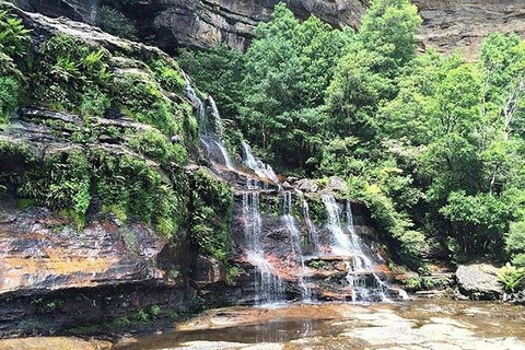Blue Mountains Highlights & Wildlife Park - Accommodation Melbourne 8