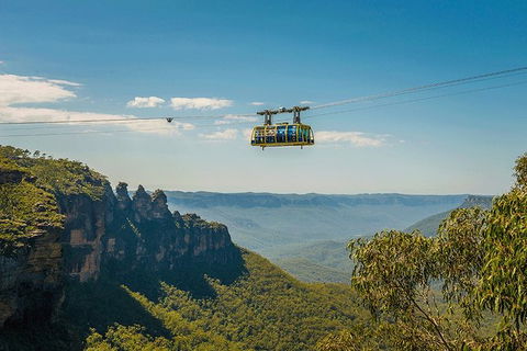 Blue Mountains Highlights, Wildlife Park And Scenic World Full Day Private Tour - Accommodation Melbourne 0