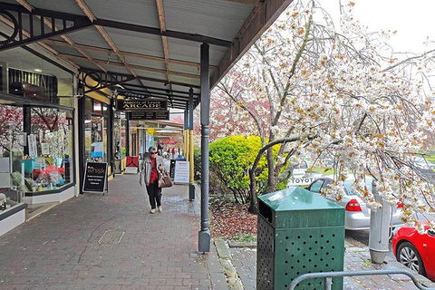 Blue Mountains Highlights, Wildlife Park And Scenic World Full Day Private Tour - Accommodation Melbourne 2
