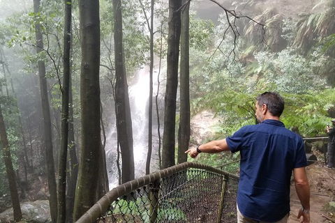 Blue Mountains Highlights, Wildlife Park And Scenic World Full Day Private Tour - Accommodation Melbourne 6