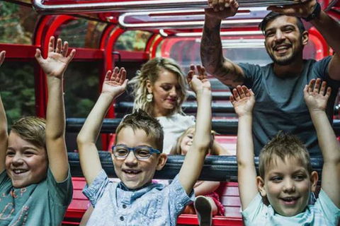 Blue Mountains Highlights, Wildlife Park And Scenic World Full Day Private Tour - Accommodation Melbourne 5