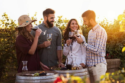 Hunter Valley Highlights Private Wine Tour From Sydney - Accommodation Melbourne 0
