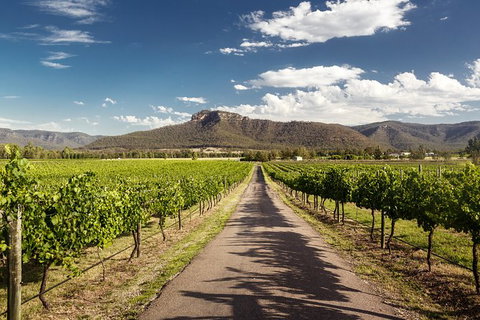 Hunter Valley Highlights Private Wine Tour From Sydney - Accommodation Melbourne 2